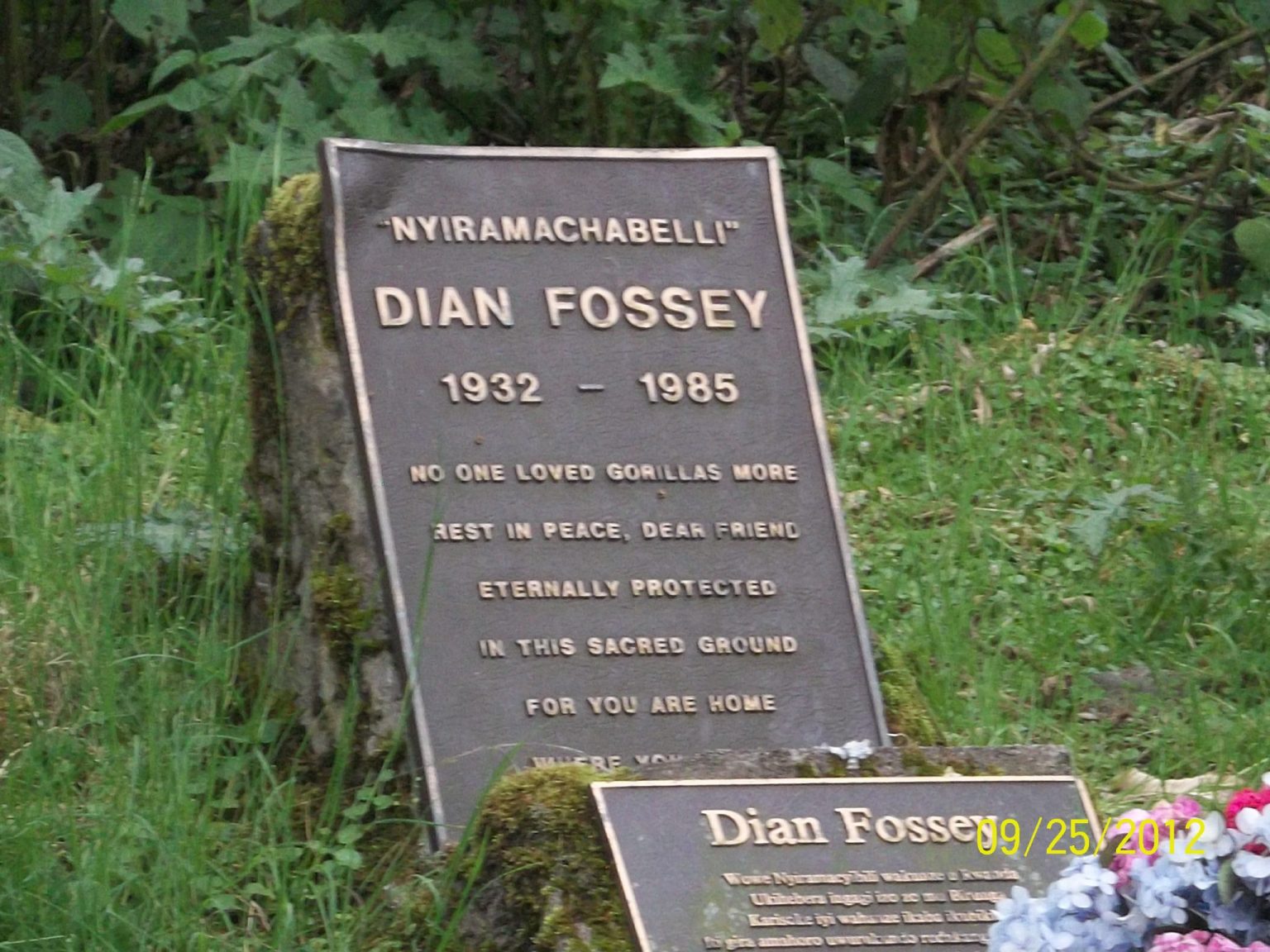 dian-fossey-grave-hike-by-katona-tours-1536x1152