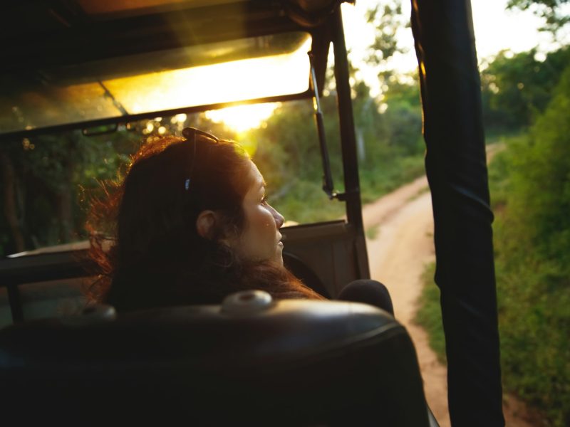 Woman on Safari game drive